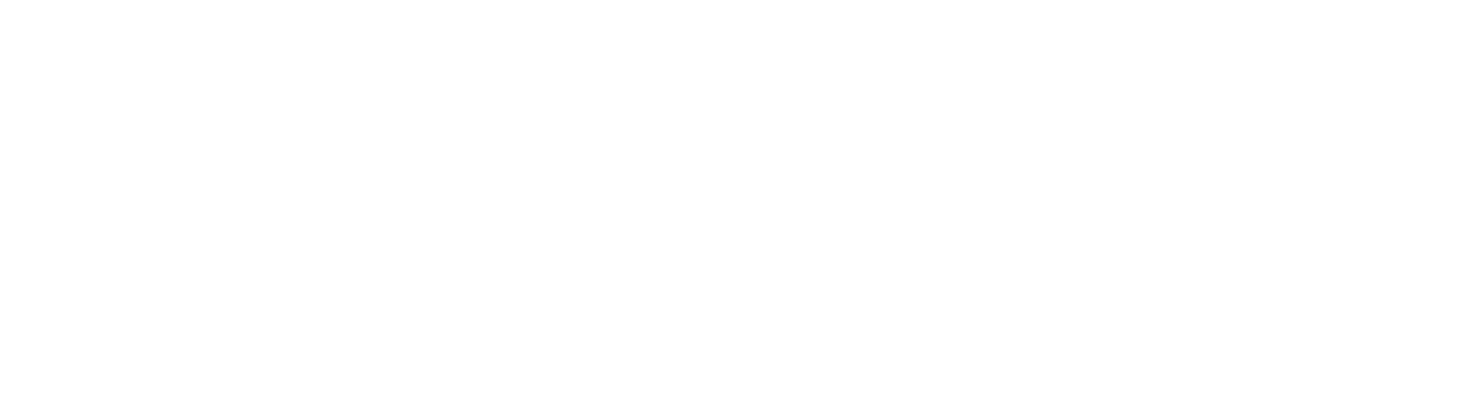 LOGO PROPAGARE (nova) horizontal branca png